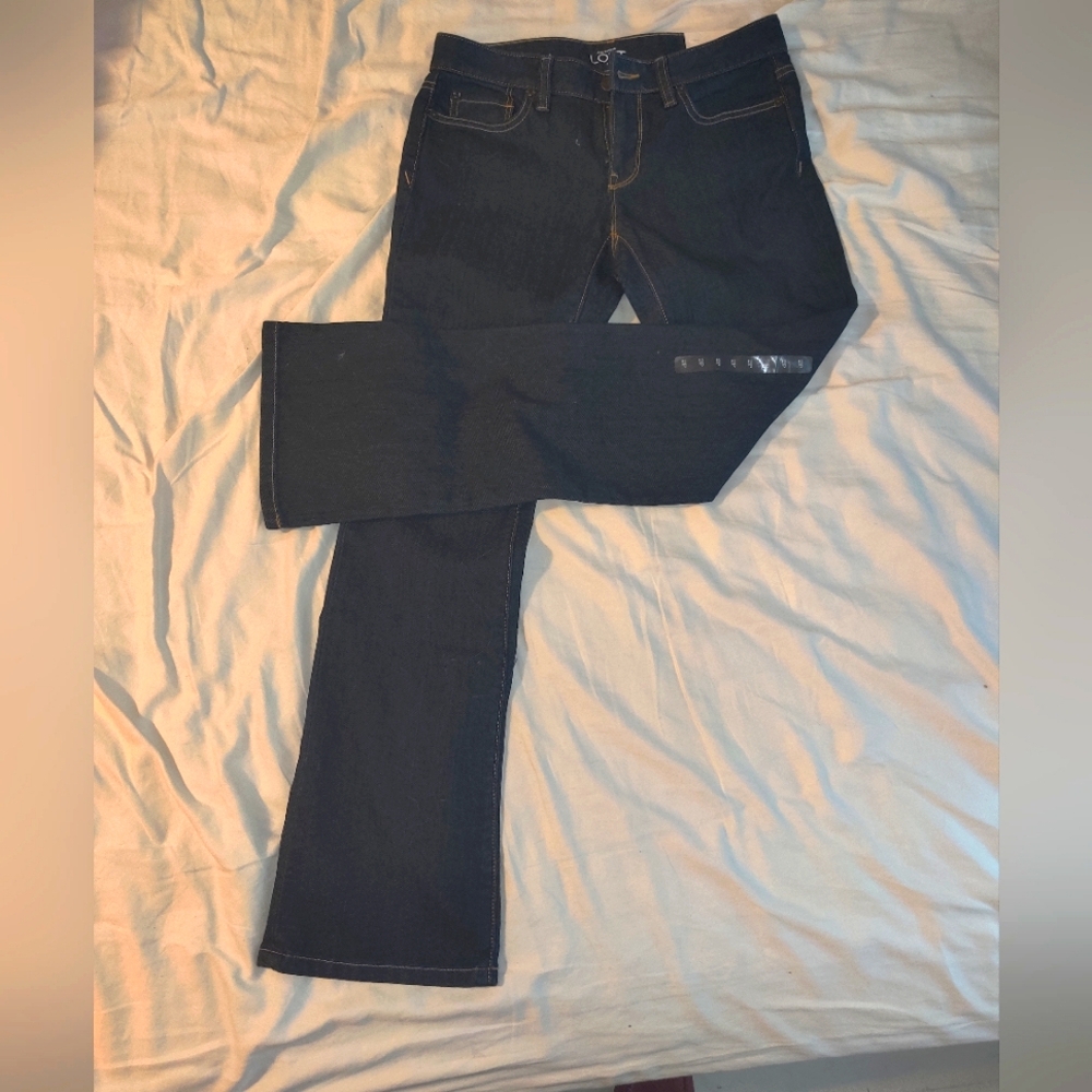 An Taylor Loft Women's Dark Blue Jeans Size 2P